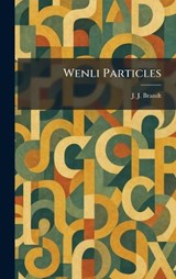Wenli Particles - J J Brandt - 9781025398532