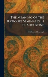 The Meaning of the Rationes Seminales in St. Augustine - Michael J McKeough - 9781025827964