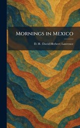 Mornings in Mexico - D H Lawrence - 9781025848051