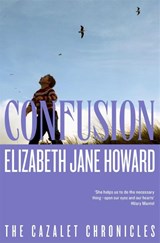 Confusion - Elizabeth Jane Howard - 9781035042463