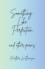 Something Like Perfection - Heather Williamson - 9781036972264
