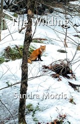 The Wilding - Sandra Morris - 9781038308382