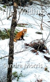 The Wilding - Sandra Morris - 9781038308399