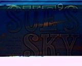 Sue's Sky - Lulu Buck - 9781039118423