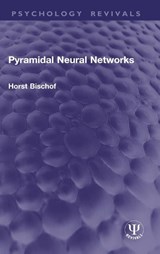 Pyramidal Neural Networks - Horst Bischof - 9781041287834