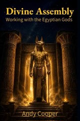 Divine Assembly - Andy Cooper - 9781066784622