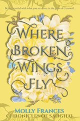 Where Broken Wings Fly - Molly Frances - 9781067372255