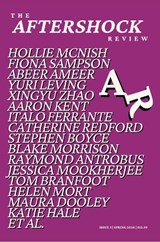 The Aftershock Review - Max Wallis - 9781067604622