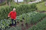 Charles Dowding's Calendar of Vegetable Sowing Dates 2027 - Charles Dowding - 9781068397523