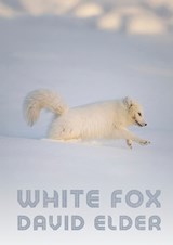 White Fox - David Elder - 9781068488313