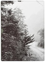 John Cage & William Gedney: Iris Garden - Alec Soth - 9781069670359