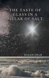 The Taste of Glass in a Pillar of Salt - Suzan Digh - 9781069870322
