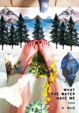 What the Water Gave Me - RUIZ,  V - 9781087958378