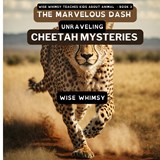 The Marvelous Dash - Wise Whimsy - 9781088068731