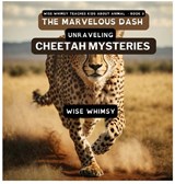 The Marvelous Dash - Wise Whimsy - 9781088076293