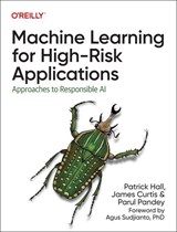 Machine Learning for High-Risk Applications - Patrick Hall ; James Curtis ; Parul Pandey - 9781098102432