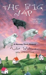 The Big Nap - Ayelet Waldman - 9781101664575