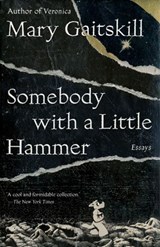 Somebody with a Little Hammer - Mary Gaitskill - 9781101871775