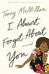 I Almost Forgot About You - Terry McMillan - 9781101902585