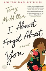 I Almost Forgot About You - Terry McMillan - 9781101902592