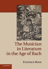 The Musician in Literature in the Age of Bach - STEPHEN (ROYAL HOLLOWAY,  University of London) Rose - 9781107428041