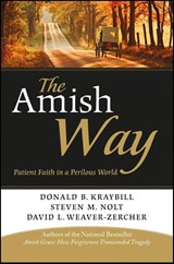 The Amish Way - Donald B. Kraybill ; Steven M. Nolt ; David L. Weaver-Zercher - 9781118152768