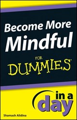 Become More Mindful In A Day For Dummies - Shamash Alidina - 9781118380475