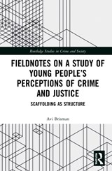 Fieldnotes on a Study of Young People's Perceptions of Crime and Justice - Avi Brisman - 9781138552517