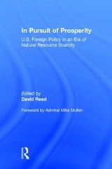 In Pursuit of Prosperity - David Reed - 9781138791893