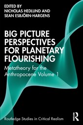 Big Picture Perspectives on Planetary Flourishing
