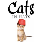 Cats in Hats -  - 9781250111890