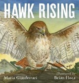 Hawk Rising - Maria Gianferrari - 9781250205957