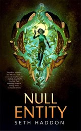 Null Entity - Seth Haddon - 9781250365217