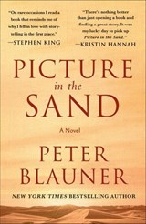 Picture in the Sand - Peter Blauner - 9781250851024