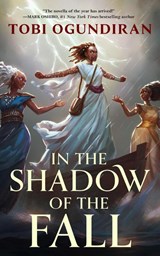In the Shadow of the Fall - Tobi Ogundiran - 9781250907967