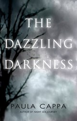 The Dazzling Darkness - Paula Cappa - 9781301673889