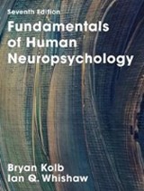 Fundamentals of Human Neuropsychology - KOLB,  Bryan ; Whishaw, Ian Q. - 9781319154042