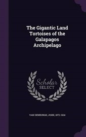 The Gigantic Land Tortoises of the Galapagos Archipelago
