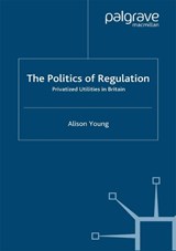The Politics of Regulation - YOUNG,  A. - 9781349425365