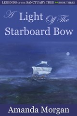 A Light Off the Starboard Bow - Amanda Morgan - 9781370689378