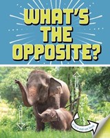 What's the Opposite? - Cari Meister - 9781398215757