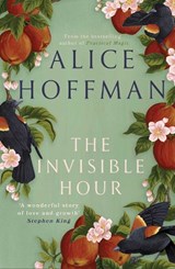 The Invisible Hour - Alice Hoffman - 9781398526181