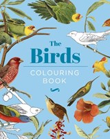 The Birds Colouring Book - Peter Gray - 9781398824522