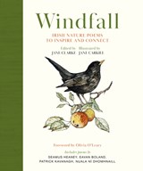 Windfall - Jane Clarke - 9781399729611