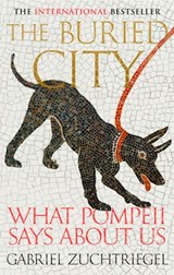 The Buried City - Gabriel Zuchtriegel - 9781399731188