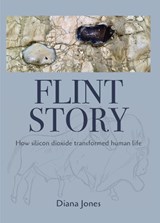 Flint Story - Diana Jones - 9781399938662
