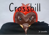 Crossbill