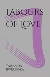 Labours of Love - Tawanda Bwerudza - 9781399980197