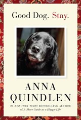 Good Dog. Stay. - Anna Quindlen - 9781400067138