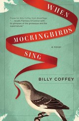 When Mockingbirds Sing - Billy Coffey - 9781401688233